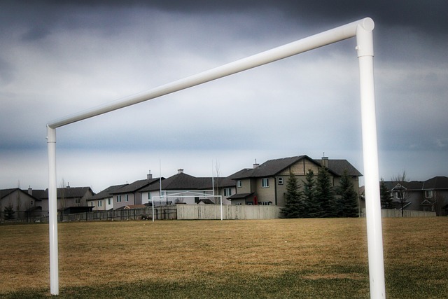 杨莉娜特别 杨莉娜特别